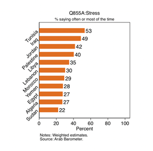 https://www.arabbarometer.org/wp-content/uploads/Screen-Shot-2020-07-06-at-3.12.29-PM.png