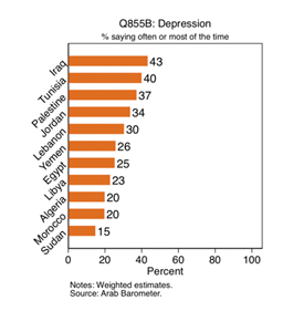 https://www.arabbarometer.org/wp-content/uploads/Screen-Shot-2020-07-06-at-3.12.46-PM.png
