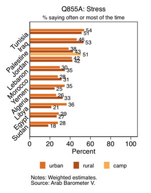 https://www.arabbarometer.org/wp-content/uploads/Screen-Shot-2020-07-06-at-3.19.26-PM.png