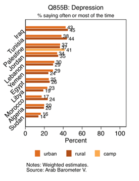 https://www.arabbarometer.org/wp-content/uploads/Screen-Shot-2020-07-06-at-3.19.37-PM.png