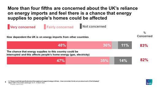 More than four fifths are concerned about the UKs reliance on energy imports and feel there is a chance that energy supplies to peoples homes could be affected